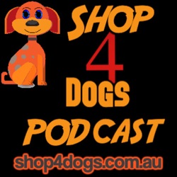 Shop4Dogs Podcast