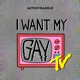 Coming Soon...I Want My Gay TV