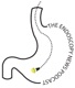 Implications of the New Monitoring Guidelines in Endoscopy