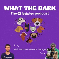 29. What's My (Dog's) Age Again? with Dr. Andria Beal