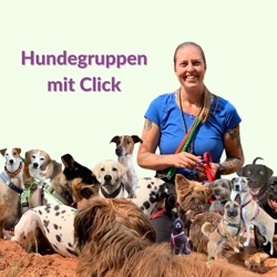 Marketing-Ideen für Dogwalker auf dem Land mit Diane