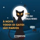 À Noite Todos os Gatos são Parvos