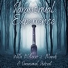 Paranormal Experience with Melissa and Mandi artwork
