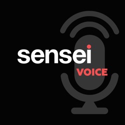 SenseiVoice. Про продажи и маркетинг