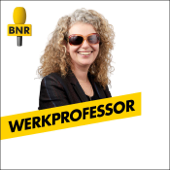 Werkprofessor | BNR - BNR Nieuwsradio