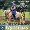 High-Performance Equestrian artwork