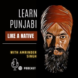 Learn Punjabi Like A Native 