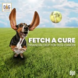FETCH a Cure: Financial Help for Dog Cancer | Joanne Silverman