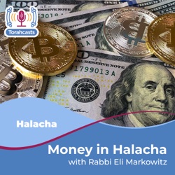 Different opinions on how to classify the halachic status of corporations (Ribbis #6)