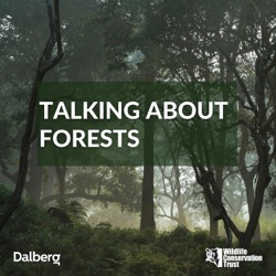 Talking About Forests