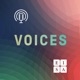 Voices: The EISA Podcast