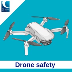 Drone guidance consultation