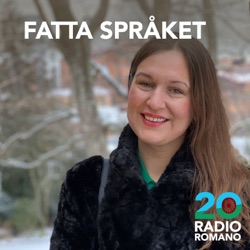 4: “Svensk romani är mitt arv – jag ska inte låta det dö ut”