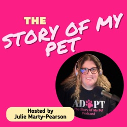Paws, Prose, and the Pursuit of Well-Being: A Journey with Nita Sweeney