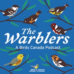 Warblin' about Warblers