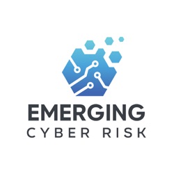 Emerging Cyber Risk