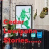 Cedar Lewisohn Stories artwork