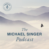 Michael Singer Podcast - Michael Singer