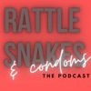 Rattlesnakes And Condoms artwork