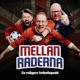 Mellan Raderna Fotboll