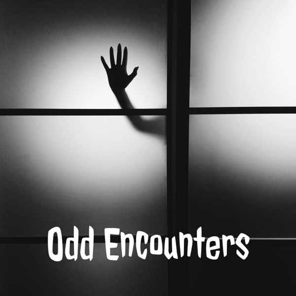 Odd Encounters Artwork