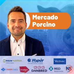 Mercado y Producción Porcina - Reinaldo Cubillos 