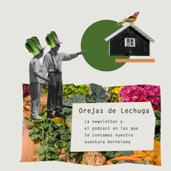 41. Ideas para el año que viene en el huerto urbano