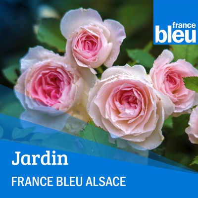 L'expert jardin en Alsace:France Bleu