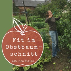 DTO20 Obststräucher als Hochstamm