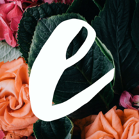 Embrace NC Women's Ministry podcast