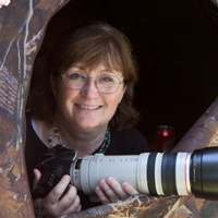 Laura Erickson's For the Birds podcast