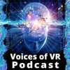 Voices of VR artwork