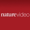 Nature Video artwork