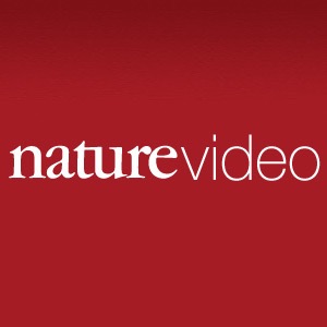 Nature Video