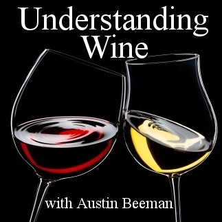 Understanding Wine: Austin Beeman's Interviews with Winemakers