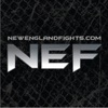 New England Fights! artwork