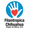 Filantropica Chihuahua artwork