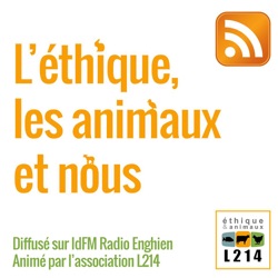 L214 : L'éthique, les animaux et nous - 24/11/15