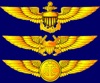 Naval Air artwork