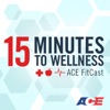 15 Minutes to Wellness artwork