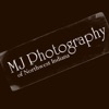 MJ Photography of NWI artwork