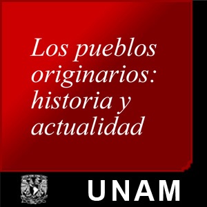 Los pueblos originarios: historia y actualidad
