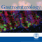 Gastroenterology