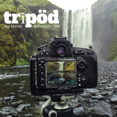 Tripod – Moving to IP Feed