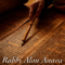 Weekly Torah Portion with Rabbi Alon Anava