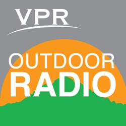 Outdoor Radio: A Mega-Roost Of Crows
