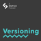 The Versioning Show