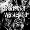 Industrial Wasteland artwork