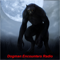 Dogman Encounters Radio