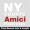 Amici: Third Branch Info & Insight